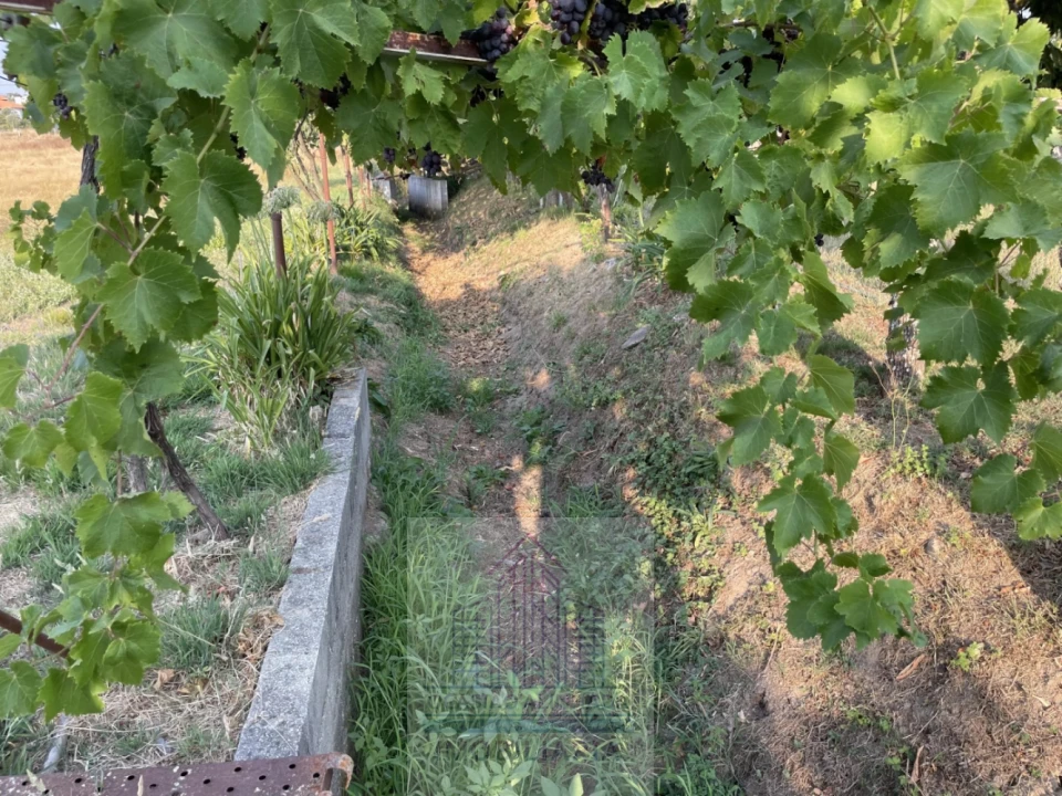 Terreno para Venda em Tourais e Lajes Foto 26
