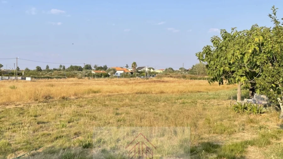 Terreno para Venda em Tourais e Lajes