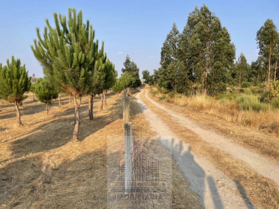 Terreno para Venda em Tourais e Lajes Foto 19