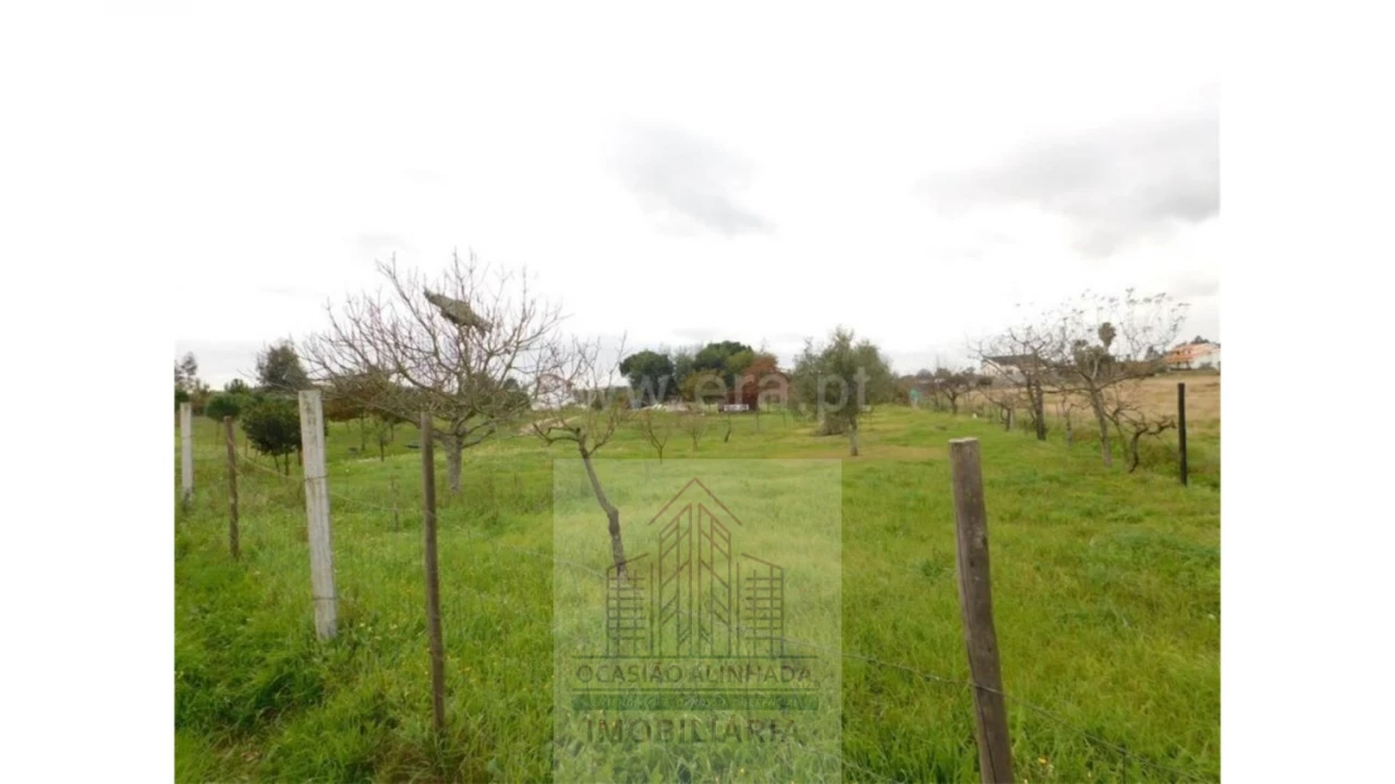 Terreno para Venda em Tourais e Lajes Foto 2