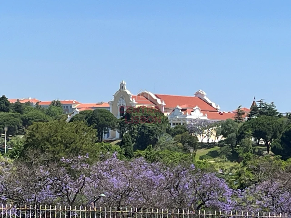 Apartamento T2 para Arrendamento em Santo António Foto 6