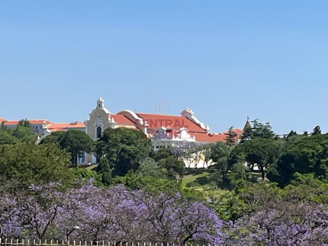 Apartamento T2 para Arrendamento em Santo António Foto 21