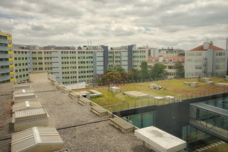 Apartamento T2 para Arrendamento em Santo António Foto 20