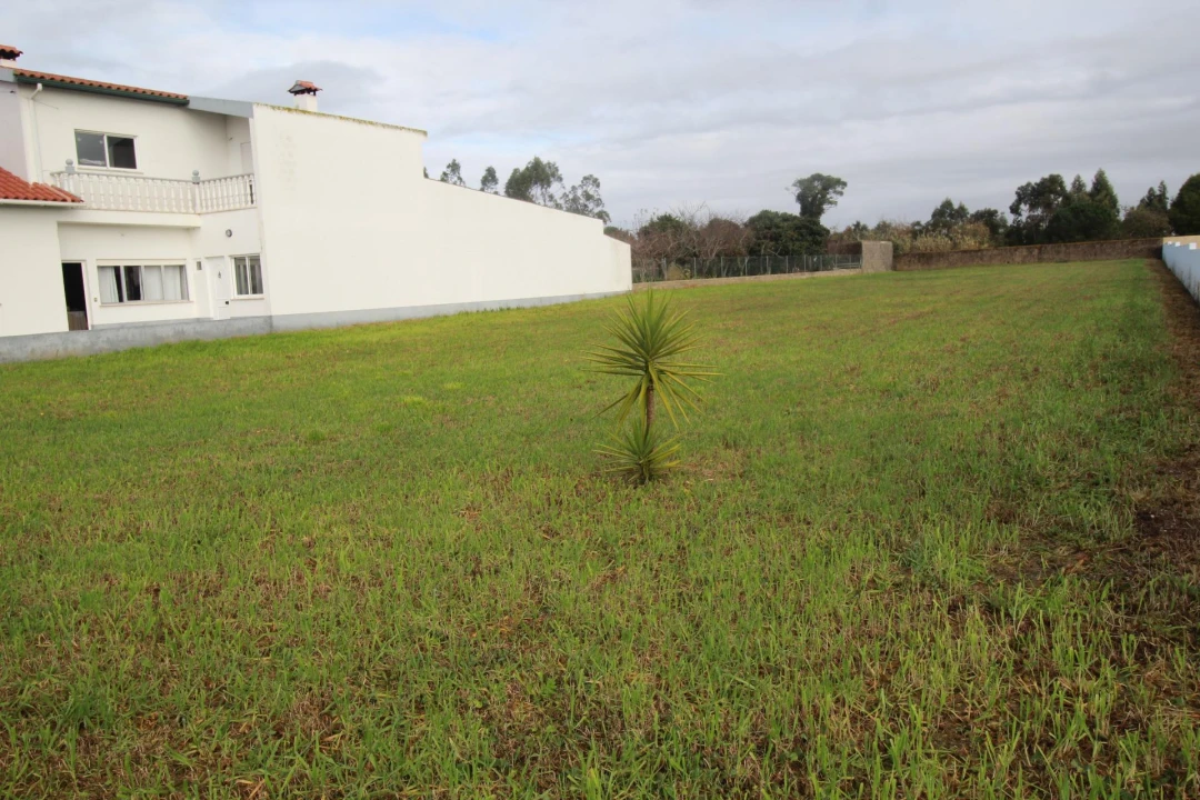 Terreno Agricola ou Rústico para Venda em Monte Real e Carvide Foto 3