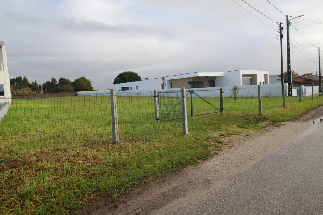 Terreno Agricola ou Rústico para Venda em Monte Real e Carvide Foto 4