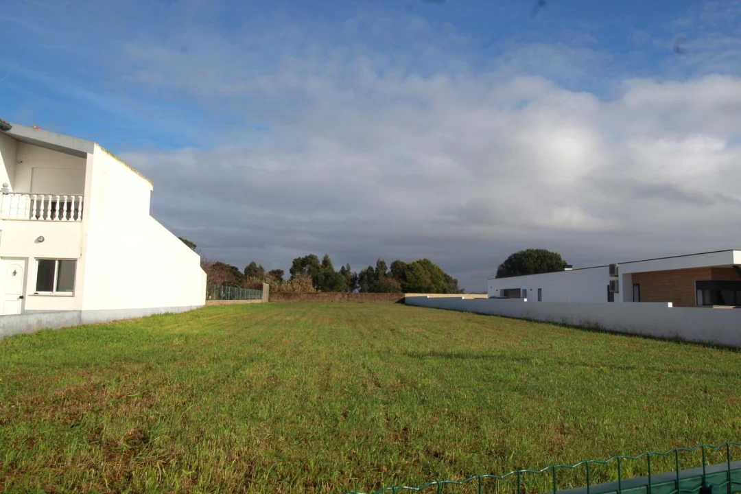 Terreno Agricola ou Rústico para Venda em Monte Real e Carvide Foto 5