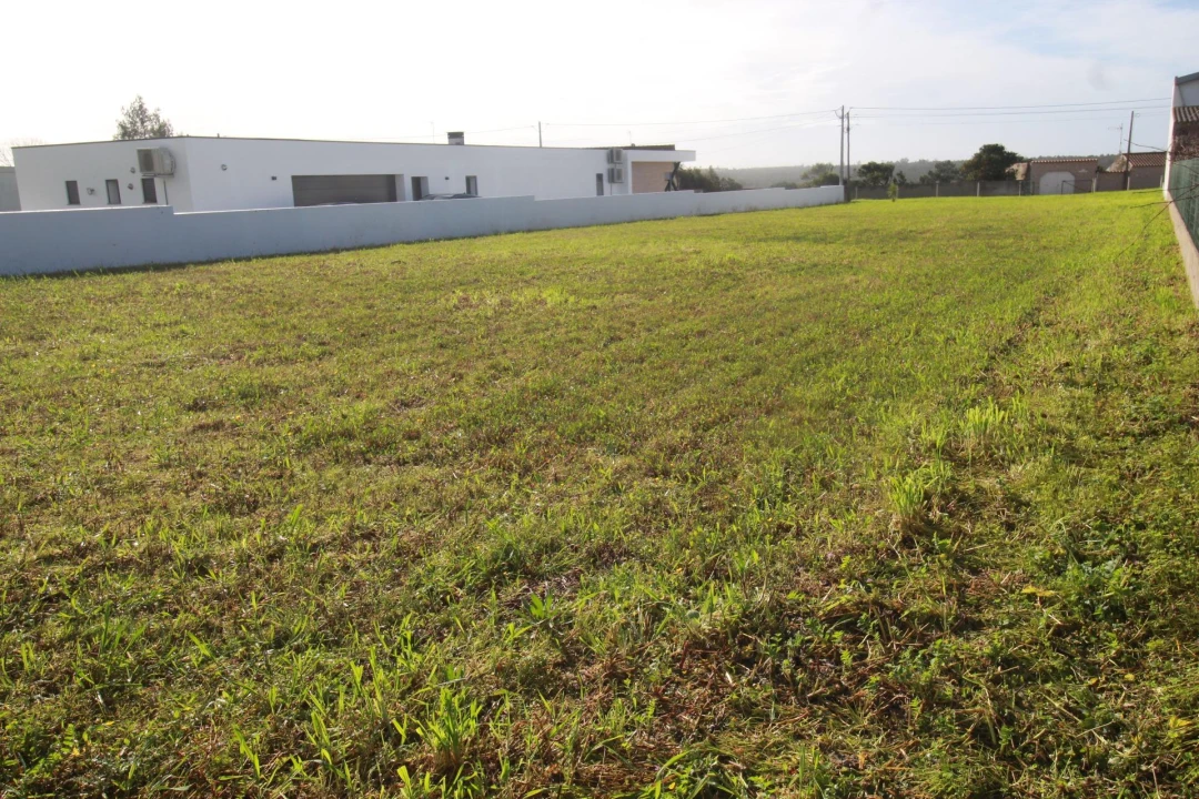 Terreno Agricola ou Rústico para Venda em Monte Real e Carvide Foto 6