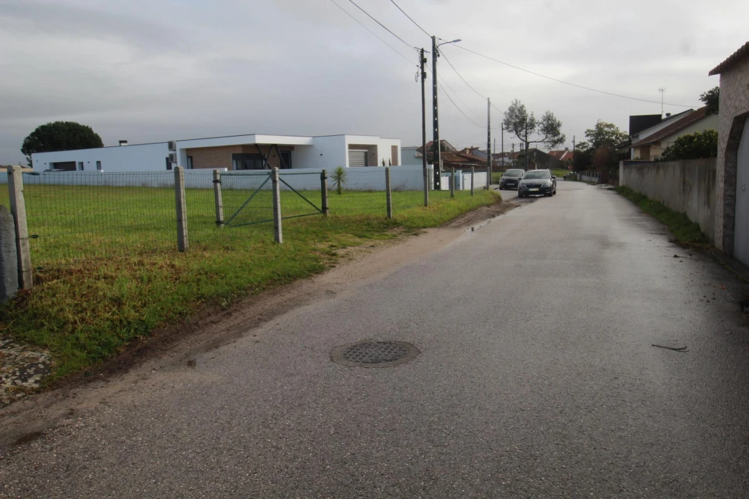 Terreno Agricola ou Rústico para Venda em Monte Real e Carvide Foto 8
