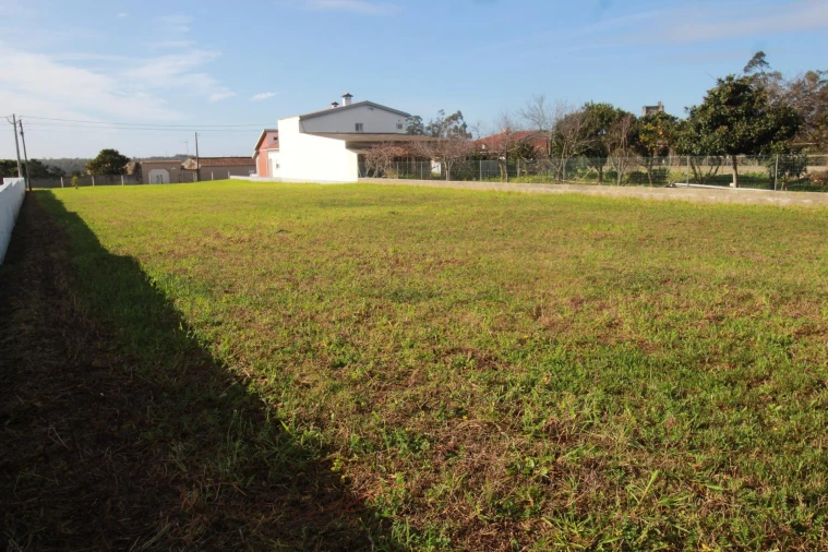 Terreno Agricola ou Rústico para Venda em Monte Real e Carvide Foto 2