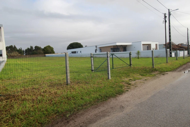 Terreno Agricola ou Rústico para Venda em Monte Real e Carvide Foto 4