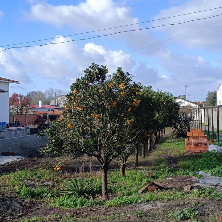 Moradia T3 para Venda em Marinha Grande Foto 23