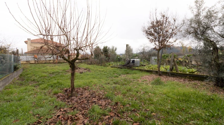 Moradia T3 para Venda em Campo Foto 25