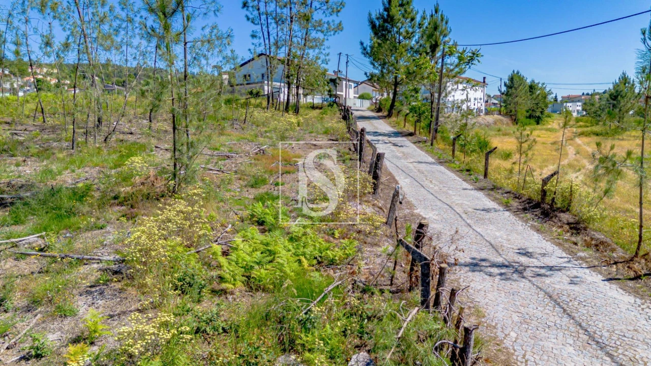 Terreno para Venda em Fregim Foto 6