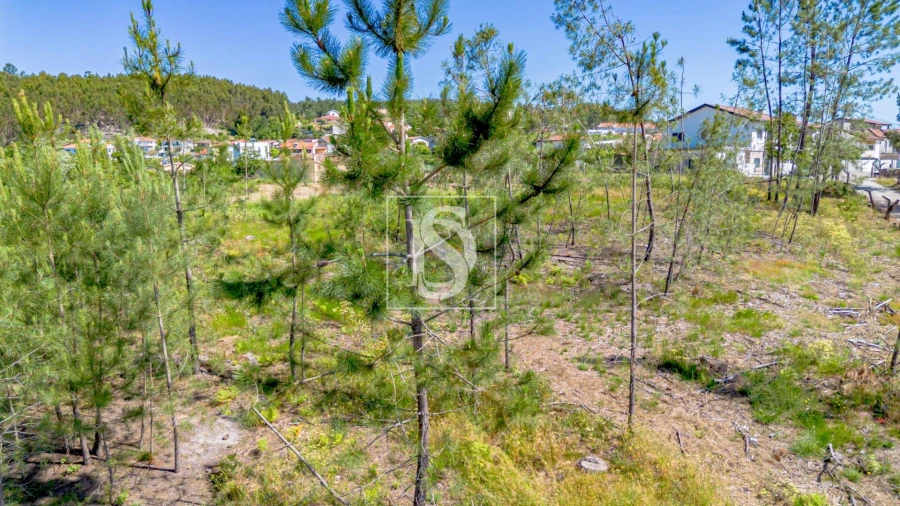 Terreno para Venda em Fregim Foto 12