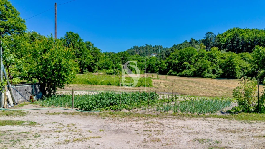 Terreno para Venda em Fregim Foto 3