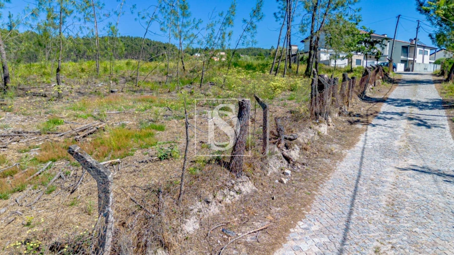 Terreno para Venda em Fregim Foto 8