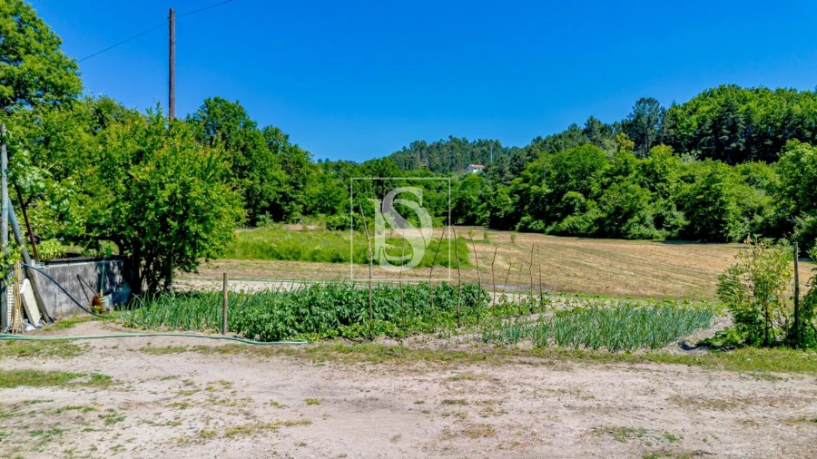 Terreno para Venda em Fregim Foto 3