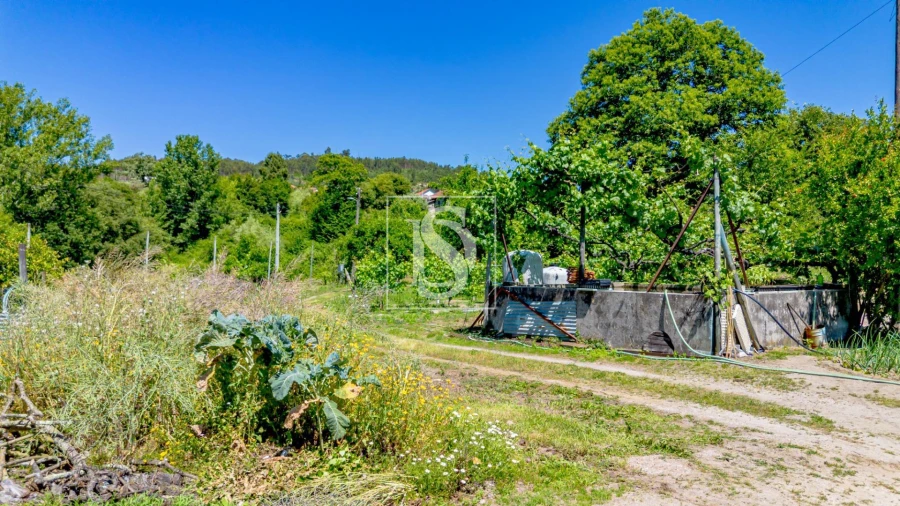 Terreno para Venda em Fregim Foto 4