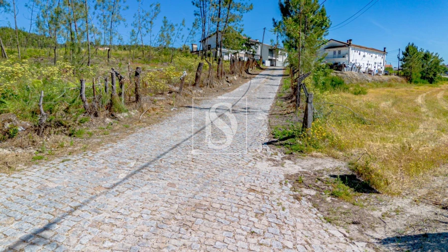 Terreno para Venda em Fregim Foto 7