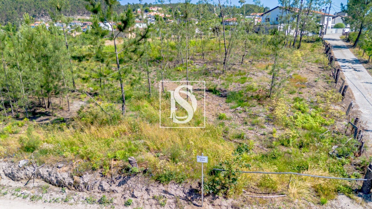 Terreno Agricola ou Rústico para Venda em Fregim Foto 10