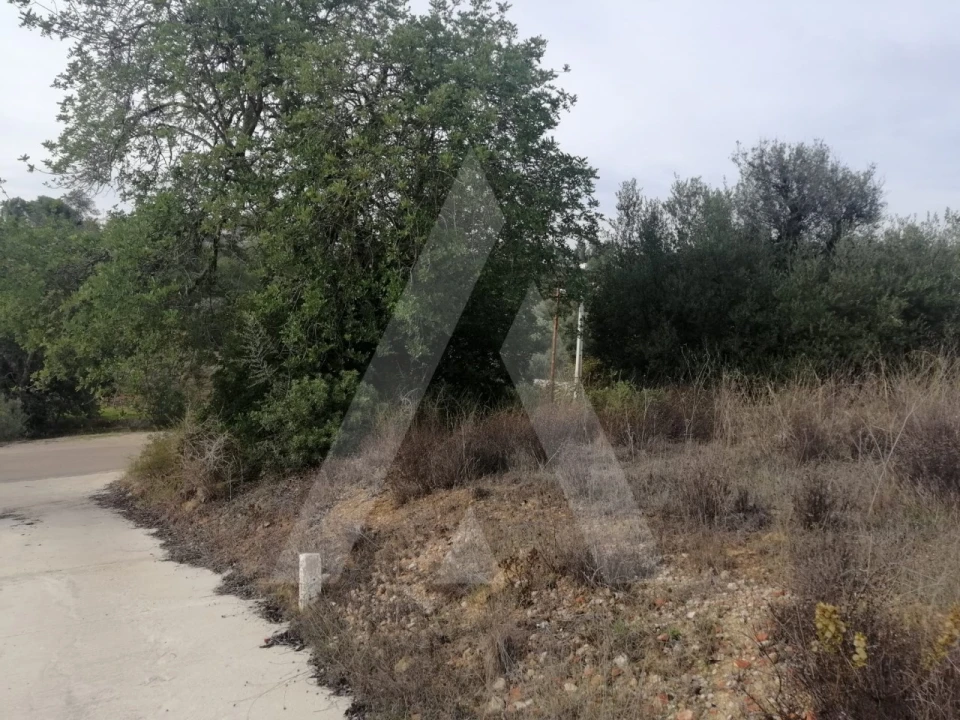 Terreno Agricola ou Rústico para Venda em Loule (São Sebastião) Foto 17