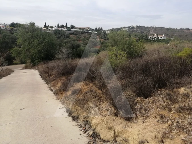 Terreno Agricola ou Rústico para Venda em Loule (São Sebastião) Foto 15