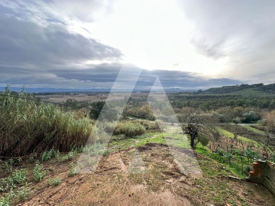 Moradia T3 para Venda em Sangalhos Foto 21