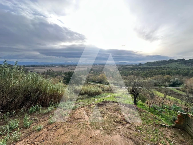 Moradia T3 para Venda em Sangalhos Foto 21