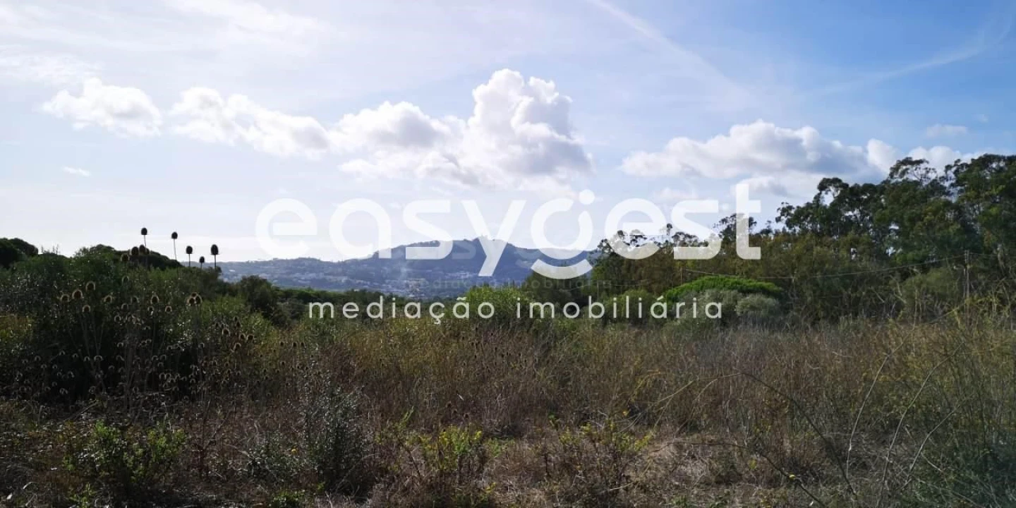 Terreno para Venda em Santa Maria e São Miguel, São Martinho, São Pedro Penaferrim Foto 1