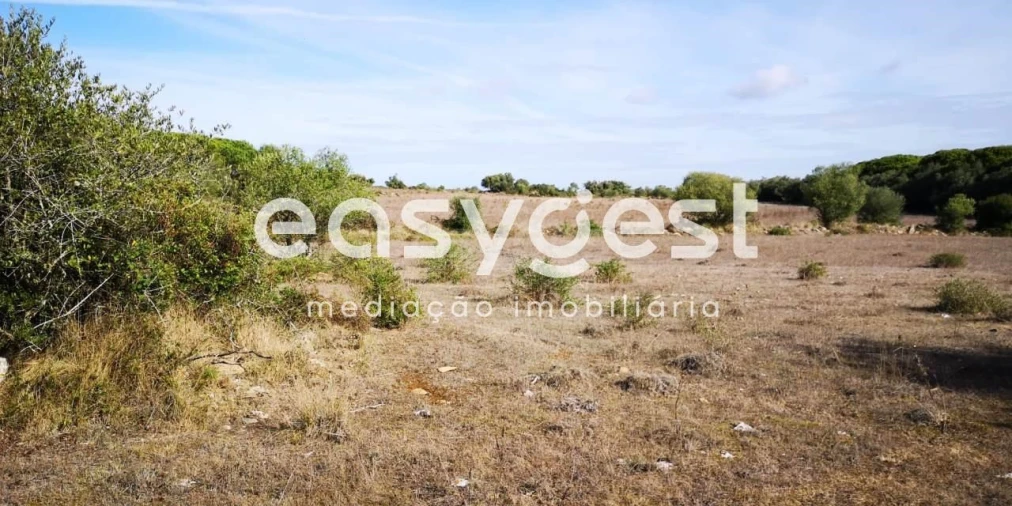Terreno para Venda em Santa Maria e São Miguel, São Martinho, São Pedro Penaferrim Foto 5