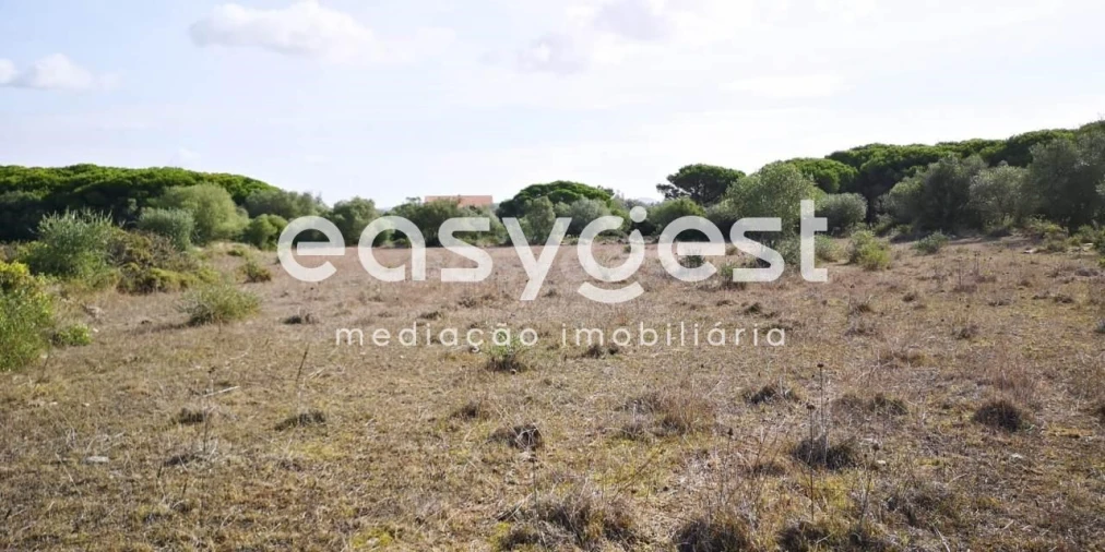 Terreno para Venda em Santa Maria e São Miguel, São Martinho, São Pedro Penaferrim Foto 6