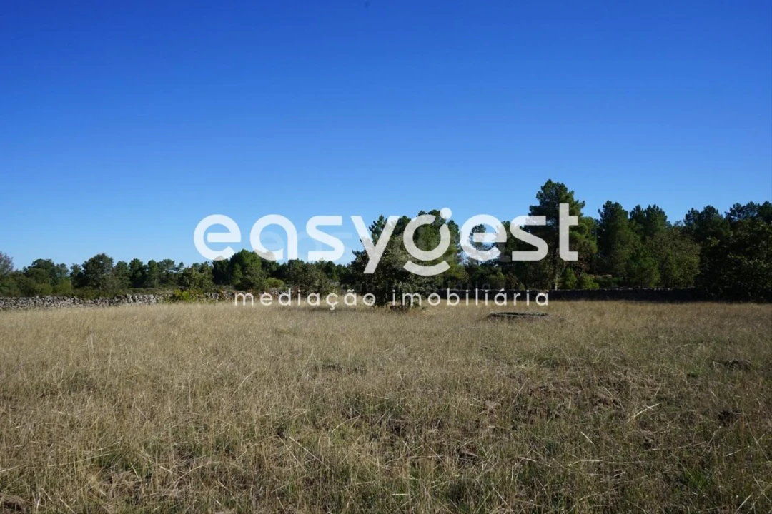 Terreno para Venda em Vila Garcia Foto 7