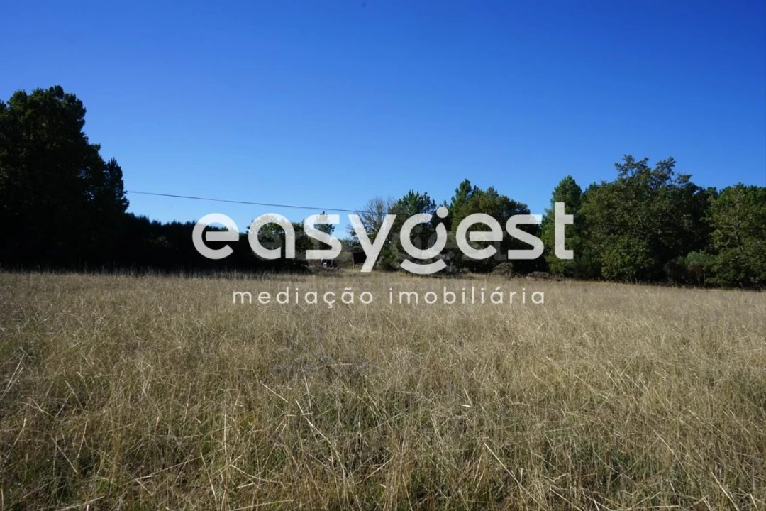 Terreno para Venda em Vila Garcia Foto 12