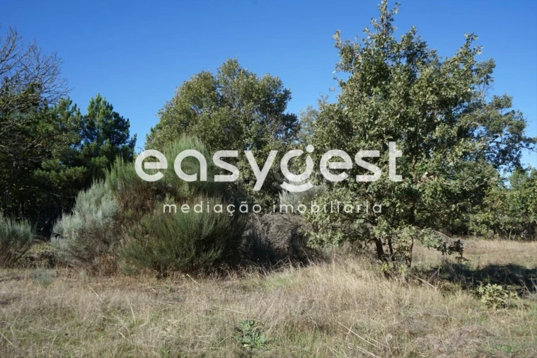 Terreno para Venda em Vila Garcia Foto 5