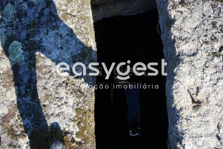 Terreno para Venda em Vila Garcia Foto 8