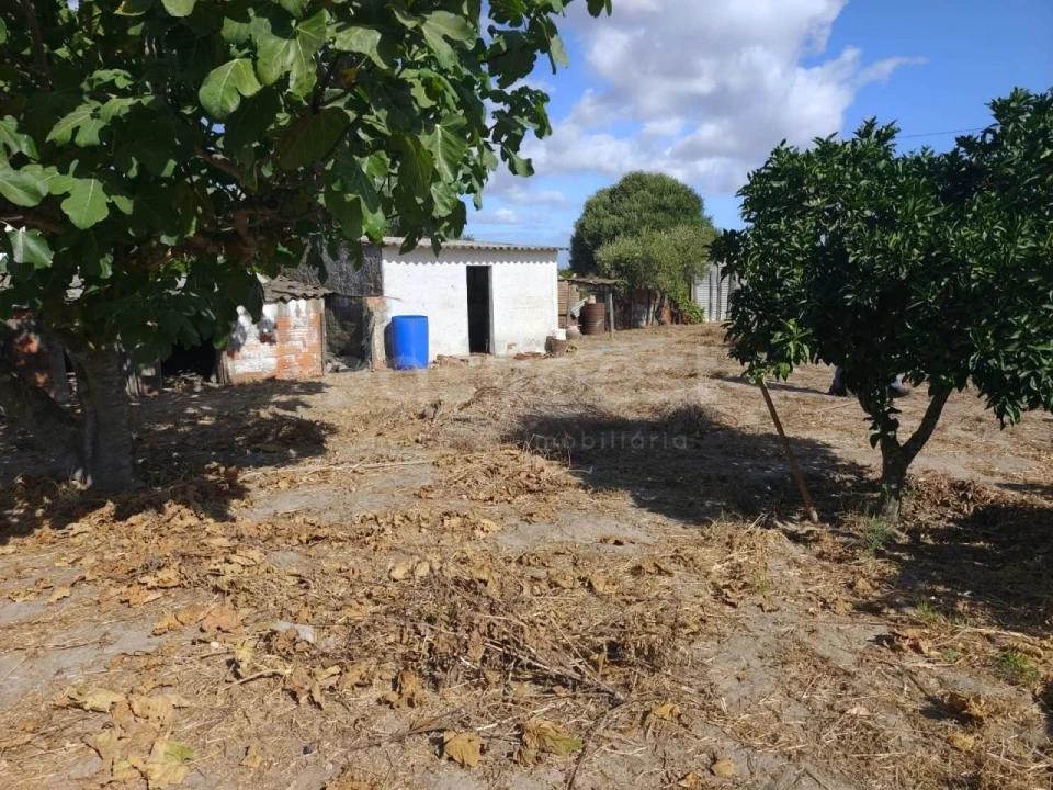 Terreno para Venda em Figueira dos Cavaleiros Foto 11