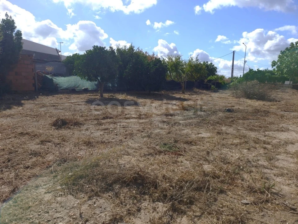 Terreno para Venda em Figueira dos Cavaleiros Foto 12