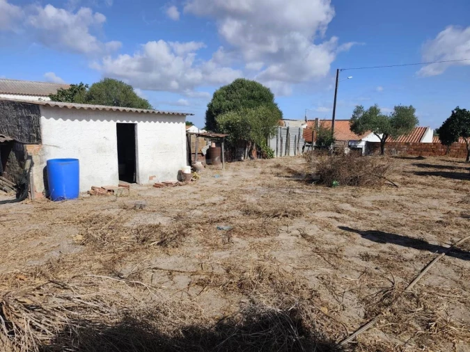Terreno para Venda em Figueira dos Cavaleiros Foto 4