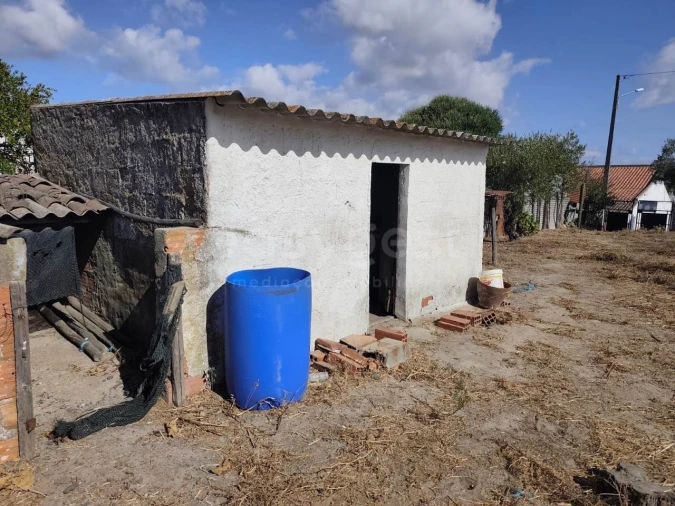 Terreno para Venda em Figueira dos Cavaleiros Foto 6
