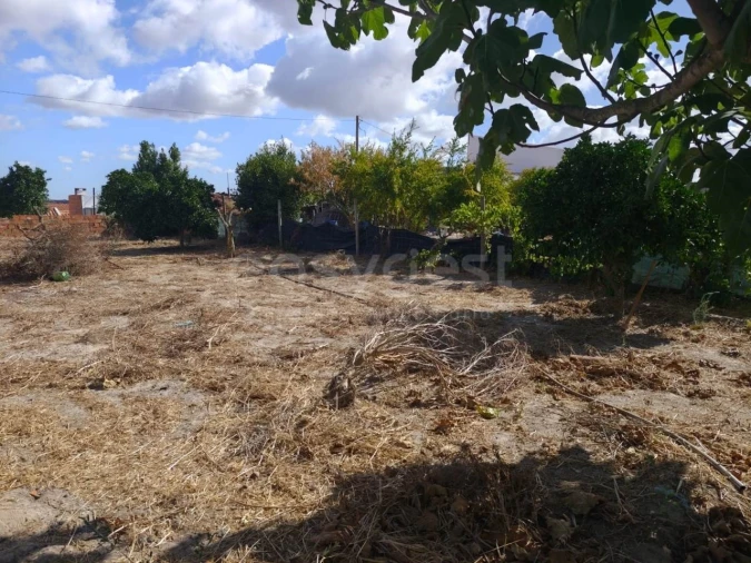 Terreno para Venda em Figueira dos Cavaleiros Foto 7