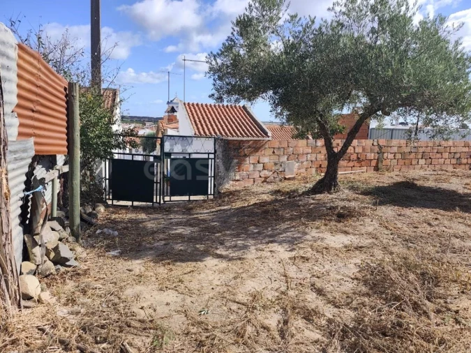 Terreno para Venda em Figueira dos Cavaleiros Foto 8
