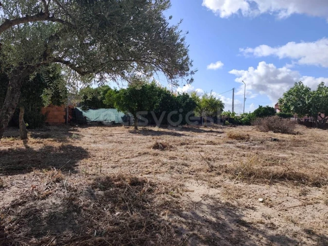 Terreno para Venda em Figueira dos Cavaleiros Foto 10