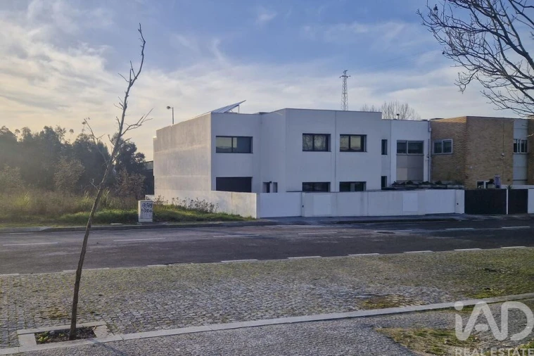 Terreno para Venda em Nogueira e Silva Escura Foto 6