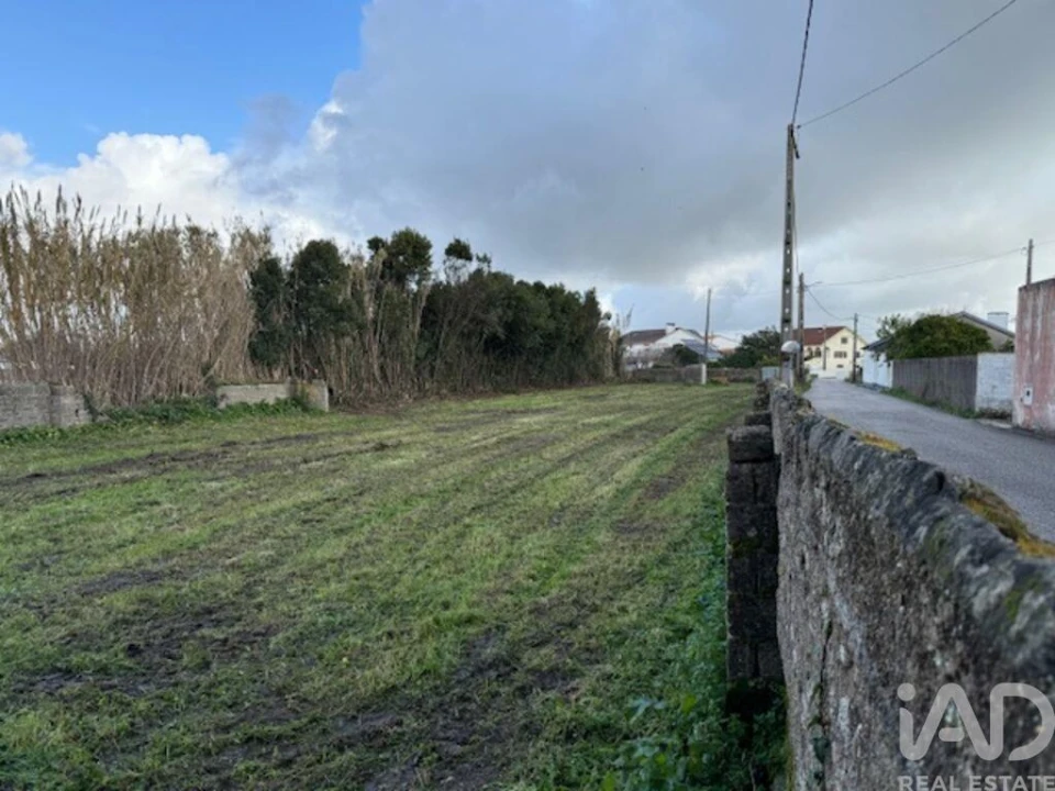 Terreno para Venda em Monte Real e Carvide Foto 13