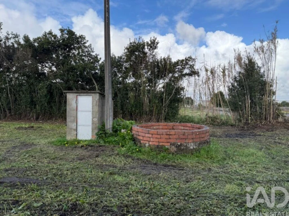 Terreno para Venda em Monte Real e Carvide Foto 19