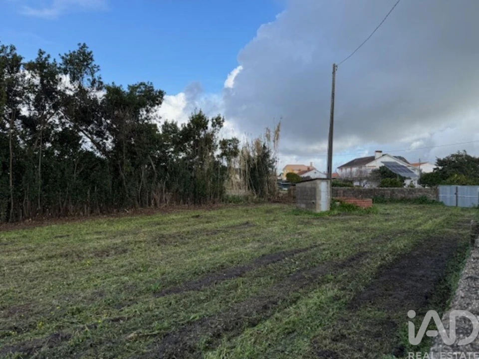 Terreno para Venda em Monte Real e Carvide Foto 7