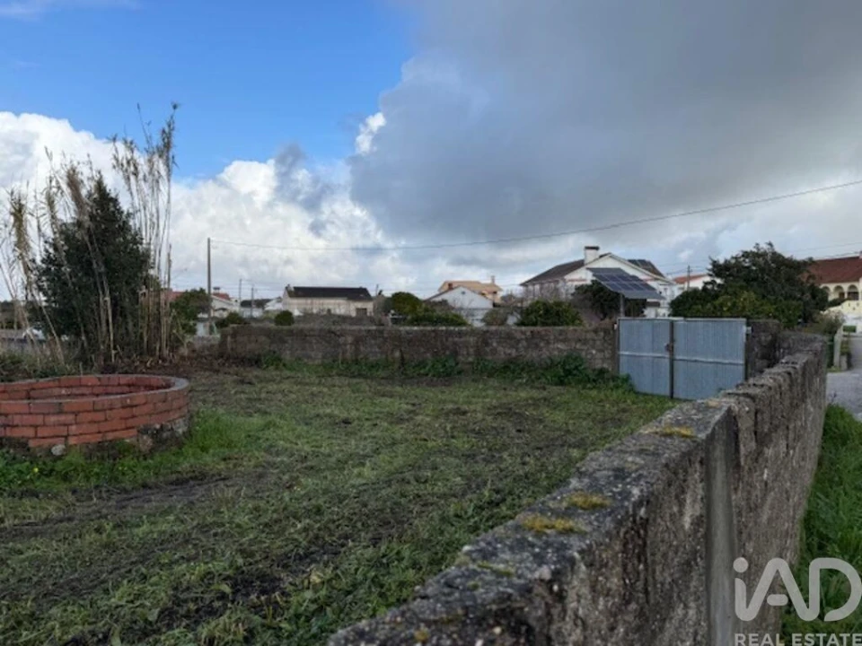Terreno para Venda em Monte Real e Carvide Foto 3