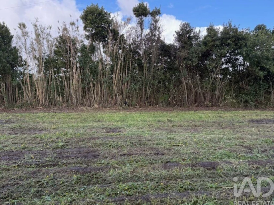 Terreno para Venda em Monte Real e Carvide Foto 8