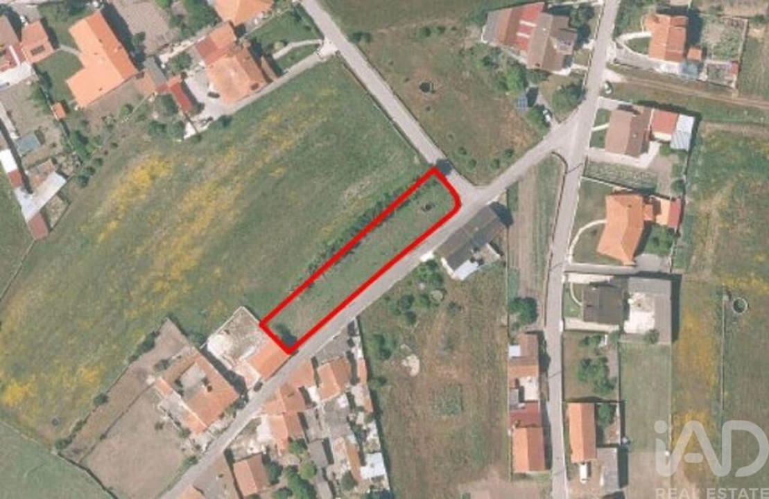 Terreno para Venda em Monte Real e Carvide Foto 2