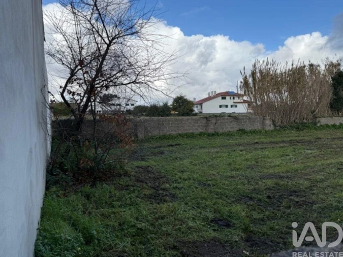 Terreno para Venda em Monte Real e Carvide Foto 11